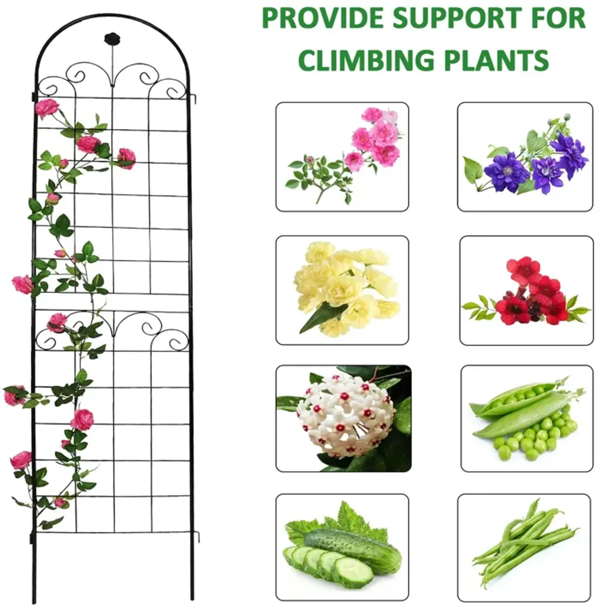 Metal Garden Trellis For Climbing Plants Outdoor Rustproof Plant Support Rose Trellis Netting Trellis