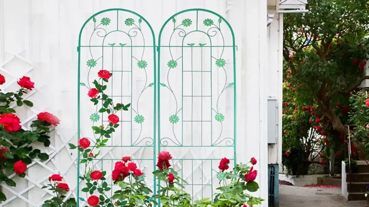 Metal Garden Trellis Rustproof Trellis For Climbing Plant Outdoor Flower Support