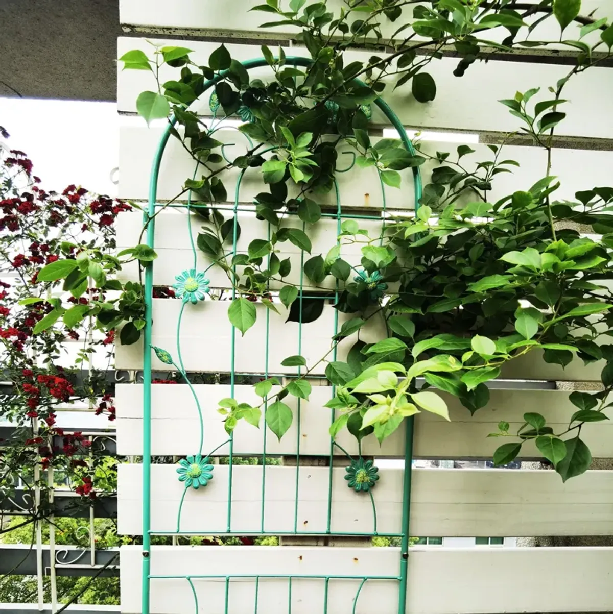 Metal Garden Trellis Rustproof Trellis For Climbing Plant Outdoor Flower Support