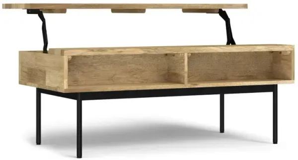 Reeves - Lift Top Coffee Table - Natural