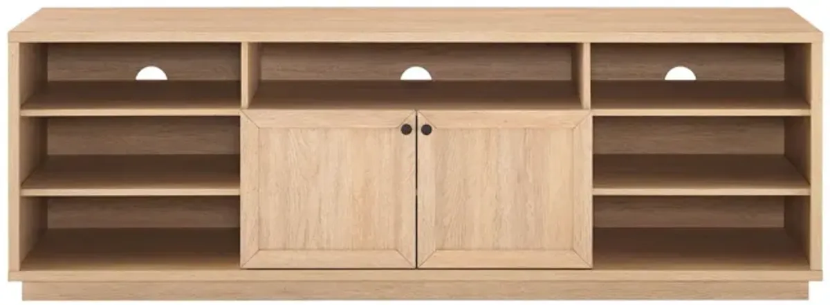 Classic 2 Door Storage TV Stand For TVs Up To 75" - Coastal Oak