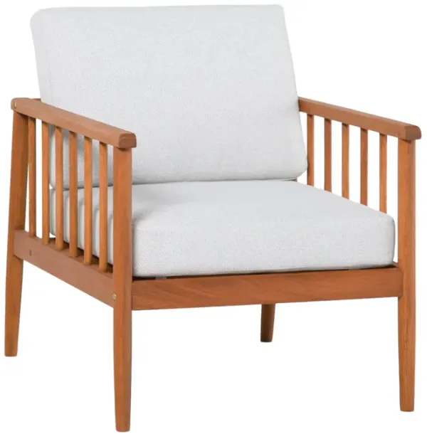 Contemporary Cushioned Eucalyptus Wood Patio Accent Chair