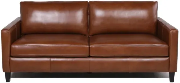 Modern & Contemporary Leather Sofa