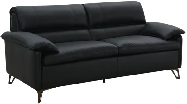 Eilene - Top Grain Leather Loveseat - Black