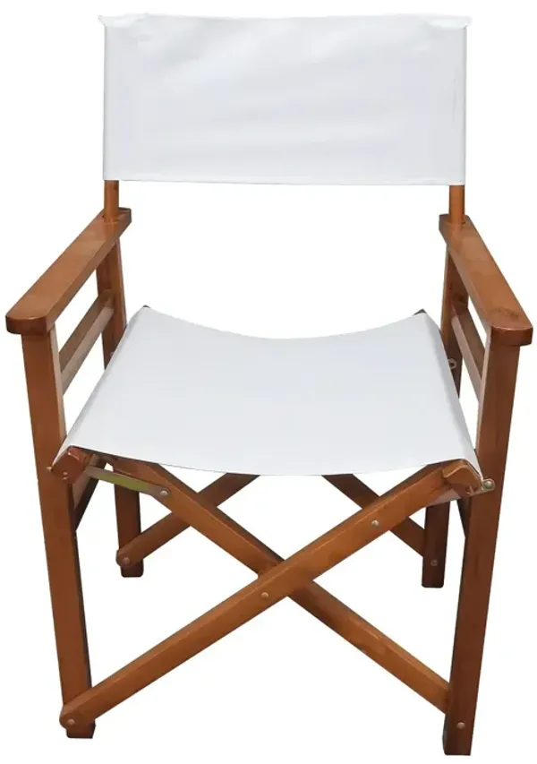 Folding Director Chair Canvas