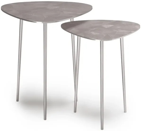 Shelton - 2 Piece Metal Nesting Table - Nickel