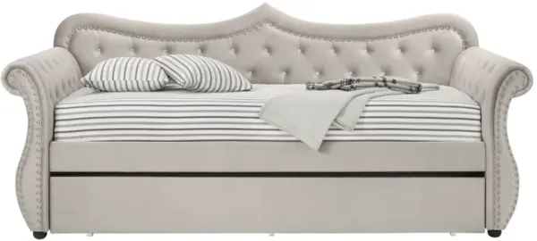 Adkins - Twin Daybed With Trundle - Beige