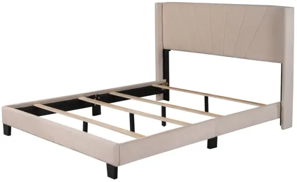 Velvet Upholstered Platform Bed, Box Spring Needed