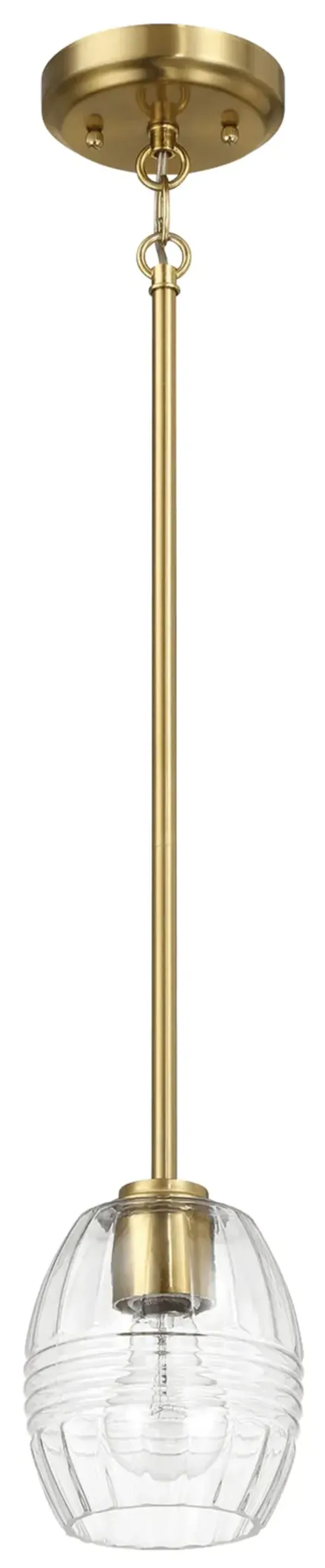 Vista - Single Pendant Chain Hanging Light - Clear / Gold
