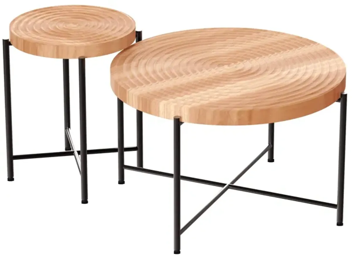 Coffee And End Table Set Waterproof Cover, Distressed Cylindrical Design, Legs Classic Rustic Charm (Set of 2)