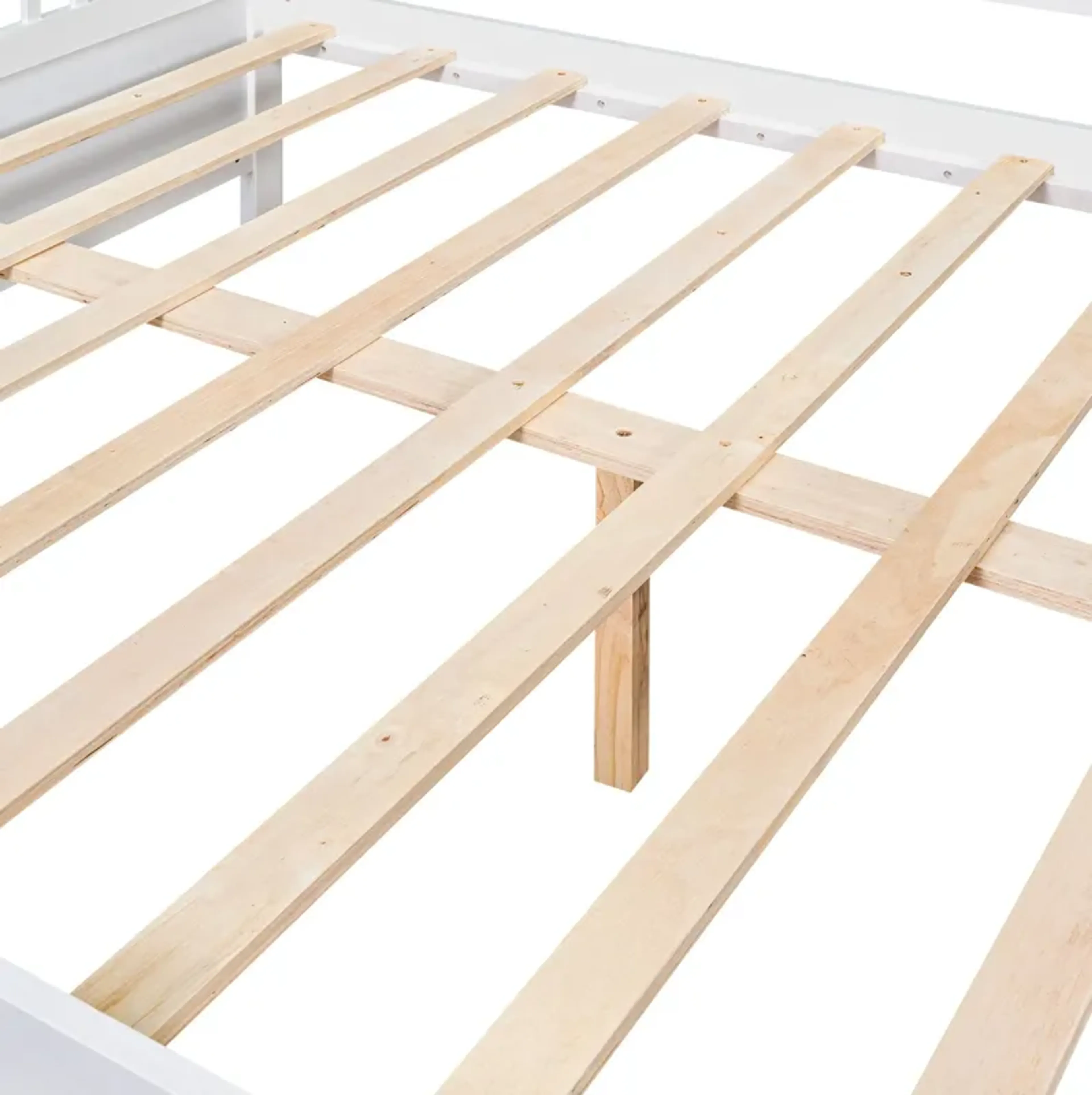 Product image 100