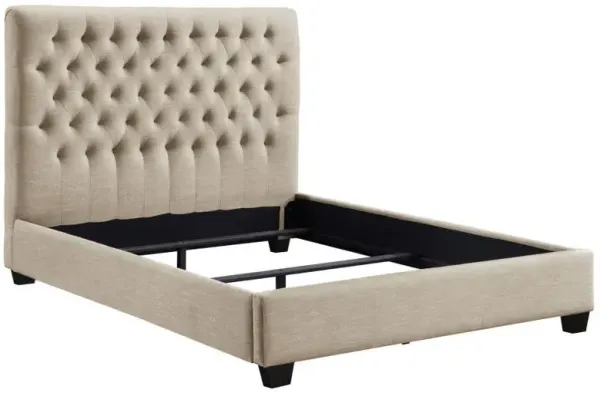 Chloe - Upholstered Panel Bed