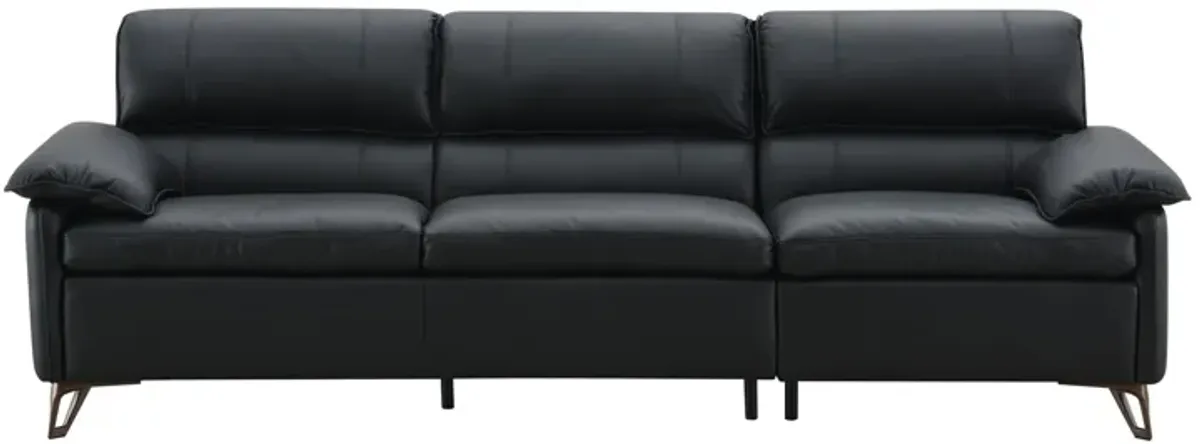 Eilene - Top Grain Leather Sofa - Black