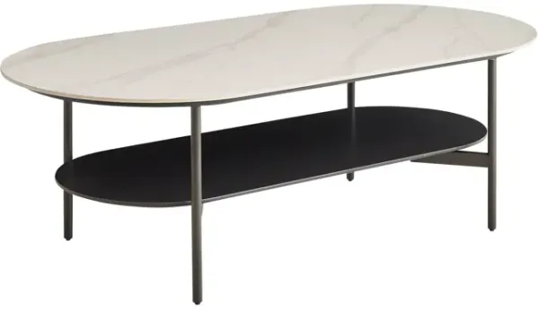 Contemporary Coffee Table Sintered Stone Surface With Ceramic Finish Double Layer Design Base Matte Shelf Modern Living Room Center Table - White / Gray