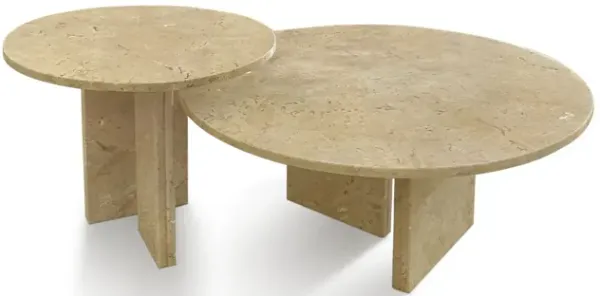 Elegant Coffee Duo Table Set