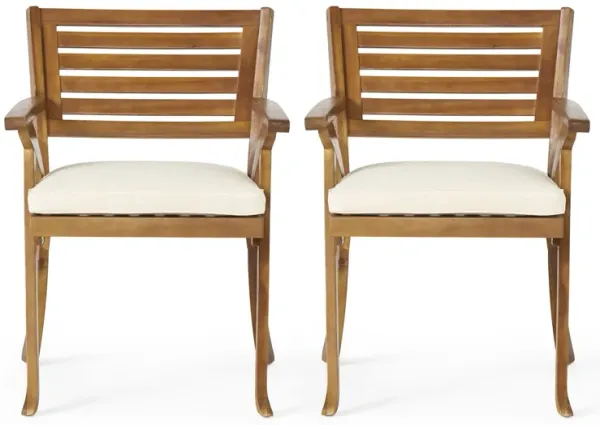 Dining Chair With Water Resistant Cushion - Teak