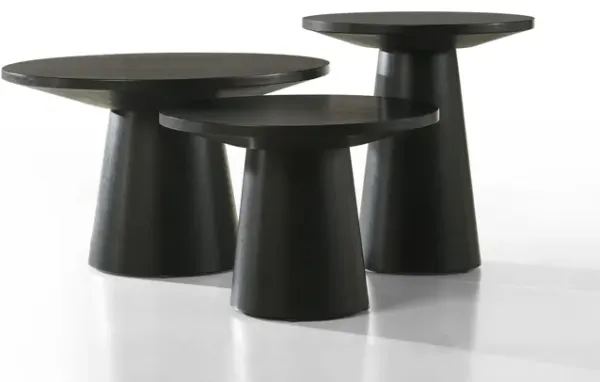 Jasper - 3 Piece Coffee, End, And Console Table (Set of 3) - Ebony Black