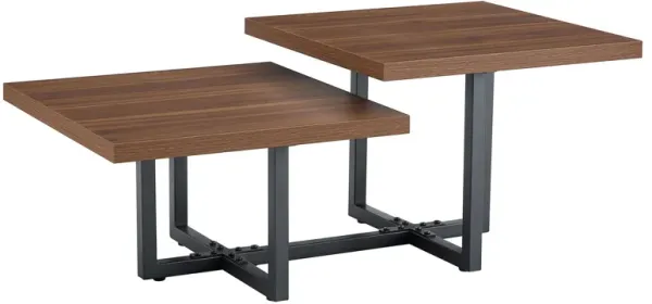 Perfectly Integrating Modern And Scandinavian Styles Double Deck Coffee Table - Walnut