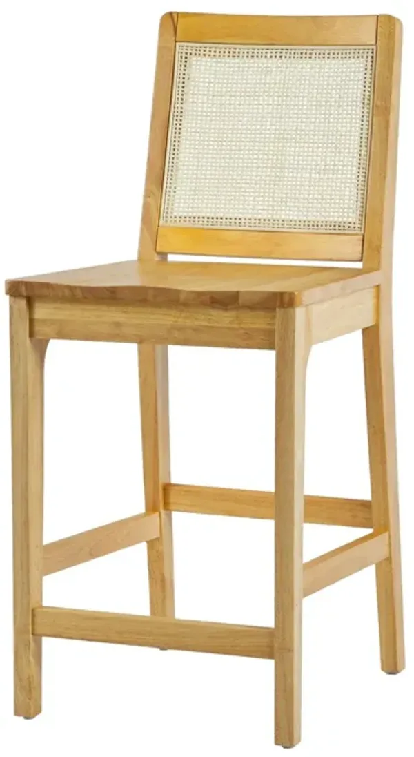 Transitional Counter Stool (Set of 2) - Natural