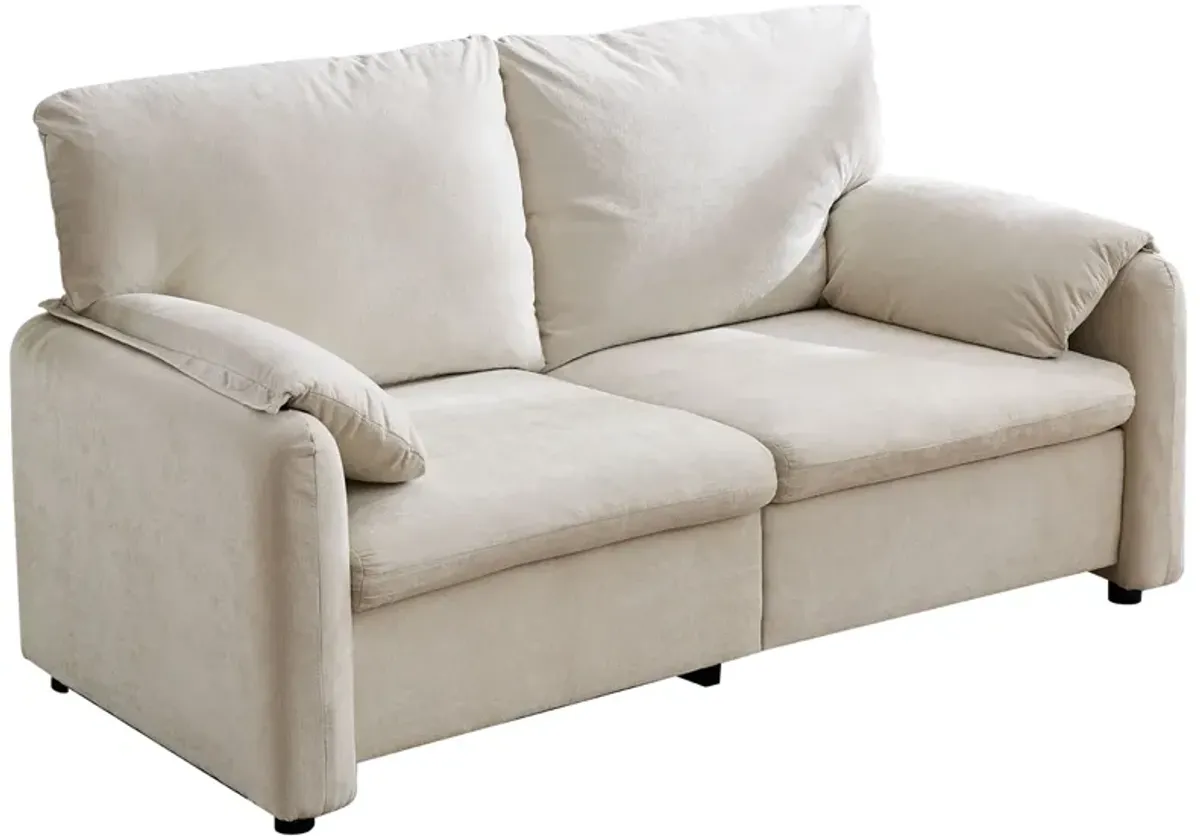 Modern Minimalist Down Filled Sofa