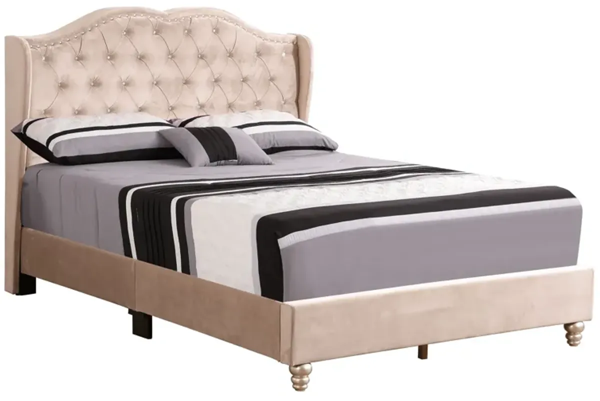 Upholstered Velvet Bed Transitional
