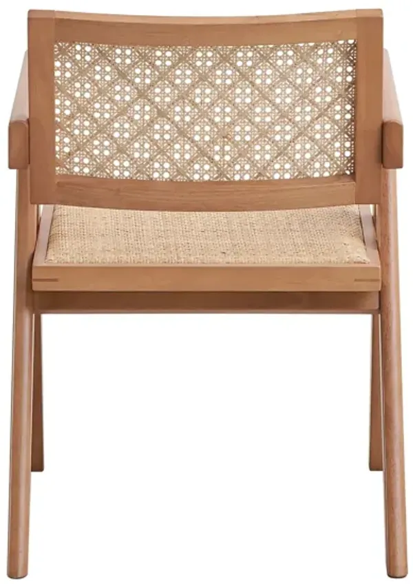 Velentina - Rattan Arm Chair (Set of 2) - Natural