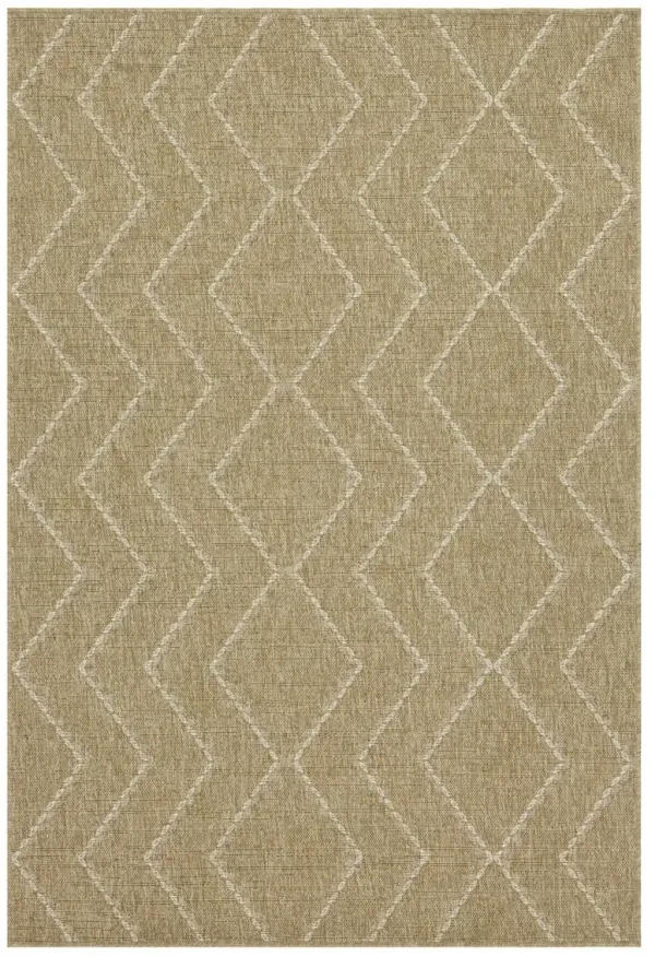 Earth - Indoor / Outdoor Area Rug - Jute / White