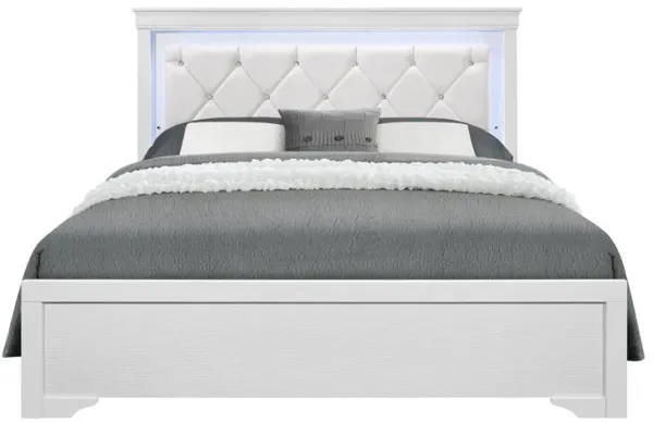 Shaker - Bed With LED