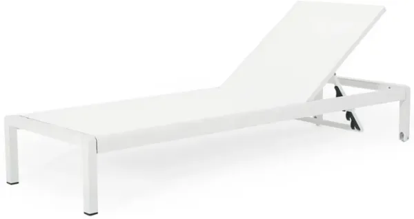 Outdoor Patio Chaise Lounge With 5 Reclining Positions