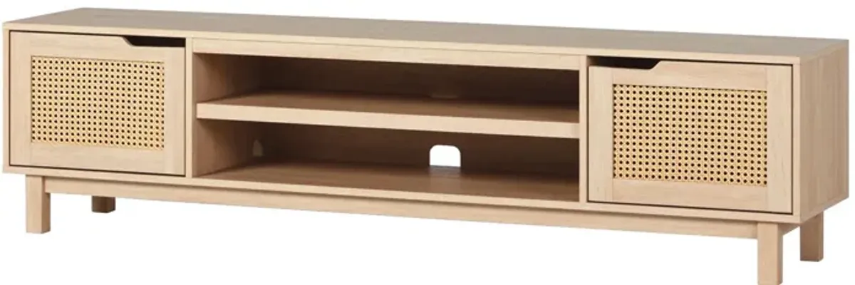 Modern Door Low TV Stand For TVs Up To 80" - Coastal Oak