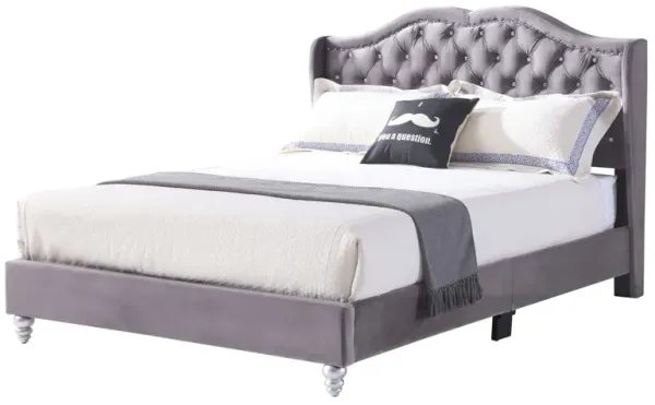 Upholstered Velvet Bed Transitional