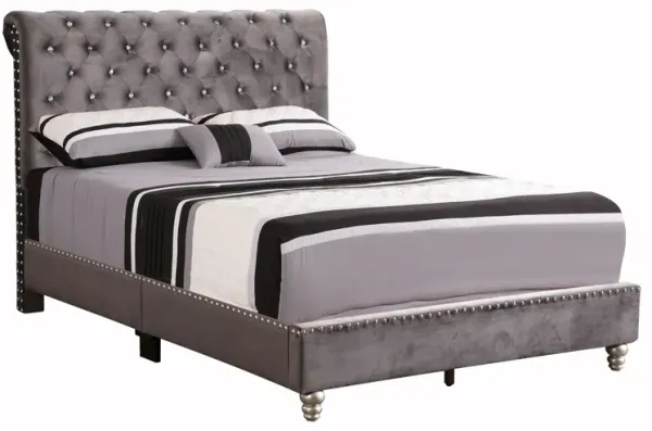Elegant Transitional Upholstered Bed