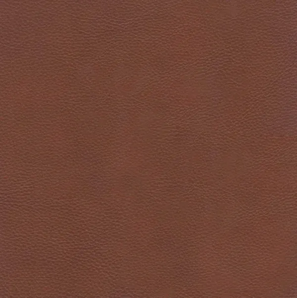 Aiden - Leather Loveseat