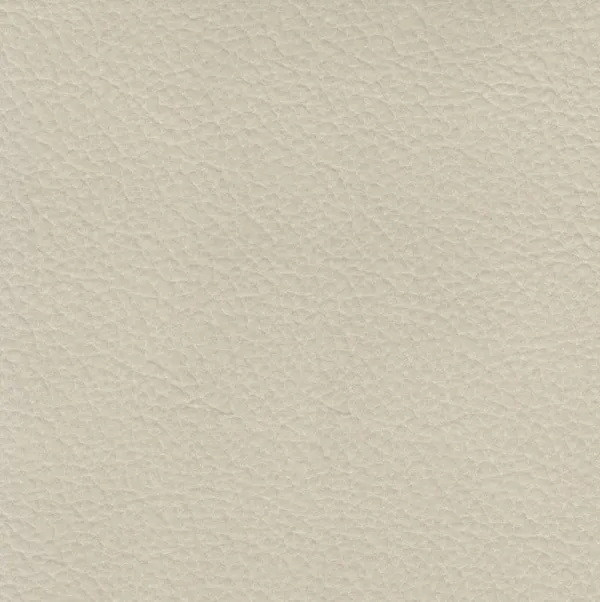 Bella - Leather Chair - Ivory