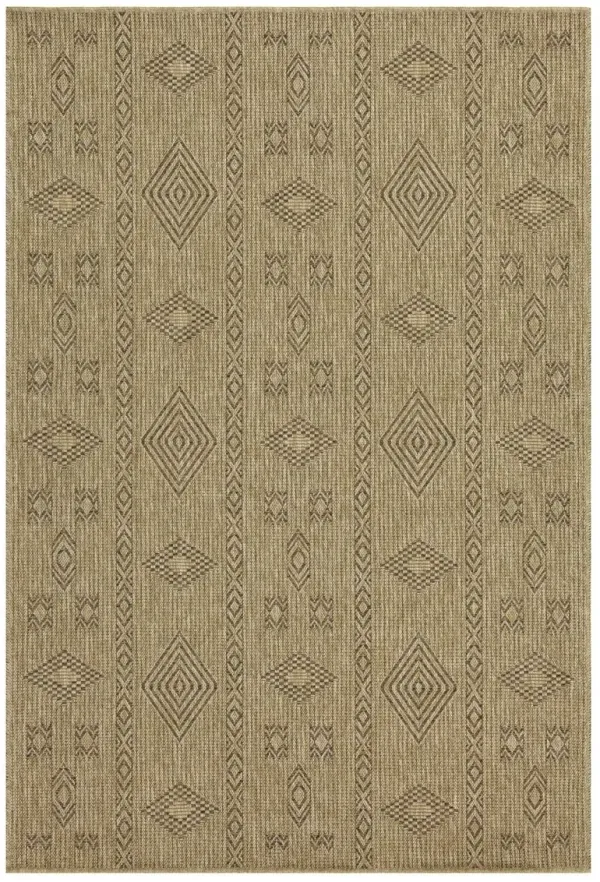 Earth - Indoor, Outdoor Area Rug, Polypropylene