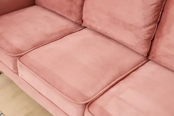 Graceful Design Plush Comfort Sofa