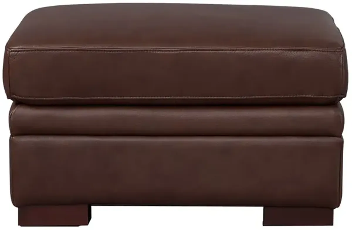 Dillon - Leather Ottoman