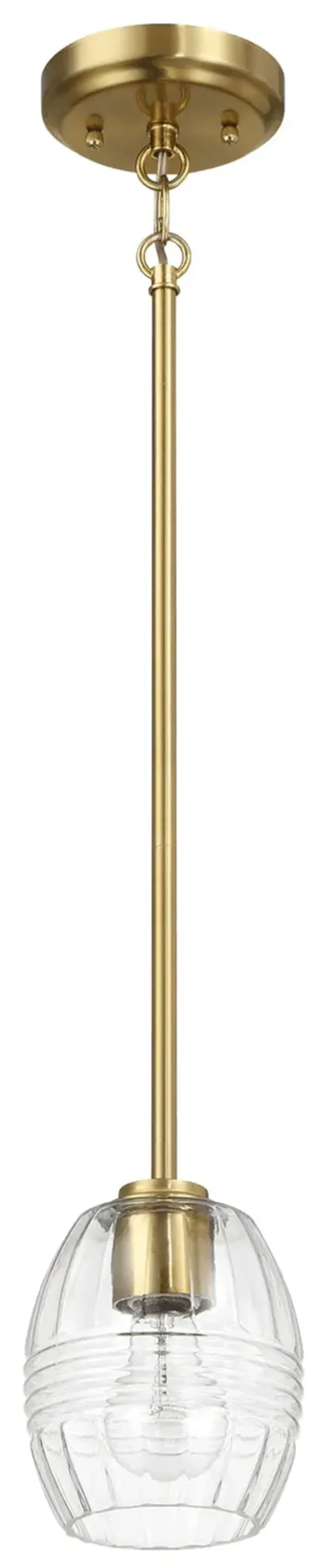Vista - Single Pendant Chain Hanging Light - Clear / Gold