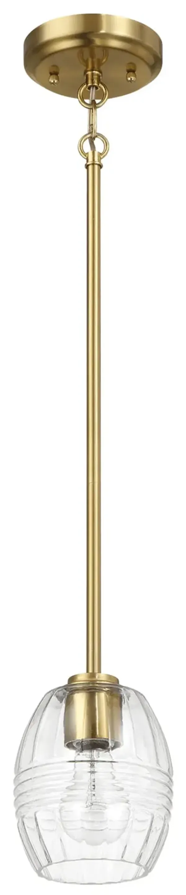 Vista - Single Pendant Chain Hanging Light - Clear / Gold