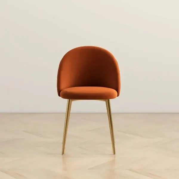 Marion - Mid Century Modern Dining Chair (Set of 2)