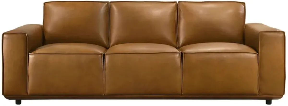 Hanky - Sofa - Brown / Tan