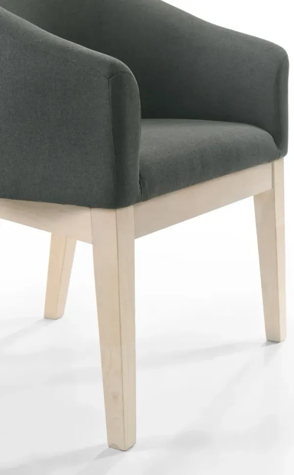 Neroli - Barrel Accent Chair (Set of 2) - Gray