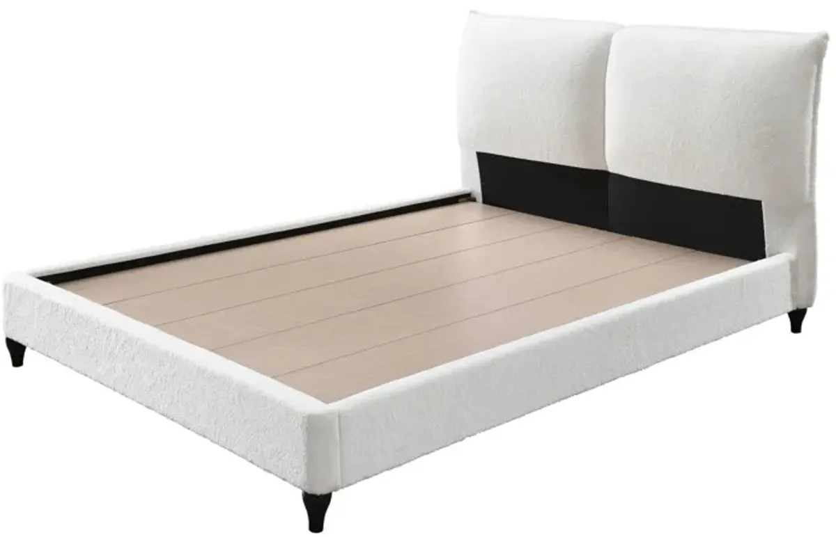 Jenn - Upholstered Bed
