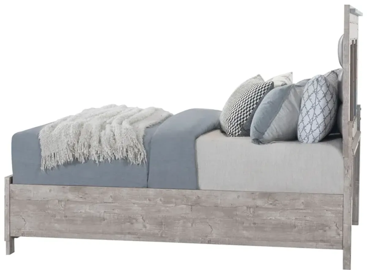 Rover - Bed