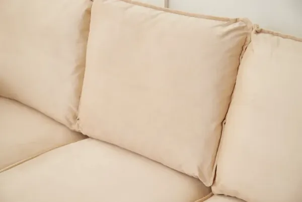 Graceful Design Plush Comfort Sofa