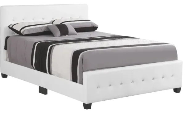 King Elegant Transitional Bed - White