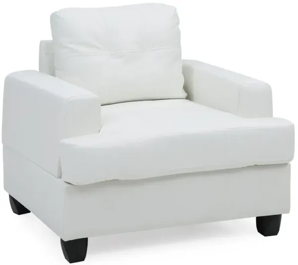 Charming Transitional Chair - White