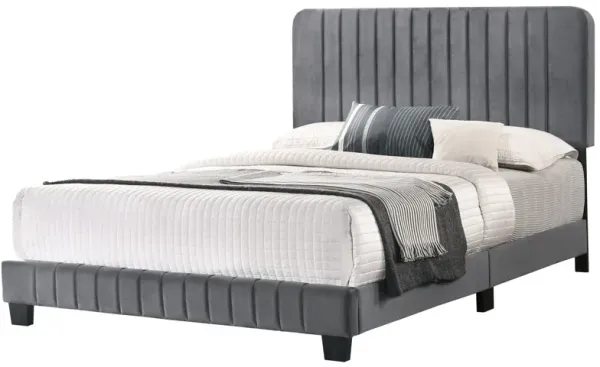 Lodi - King Bed - Gray