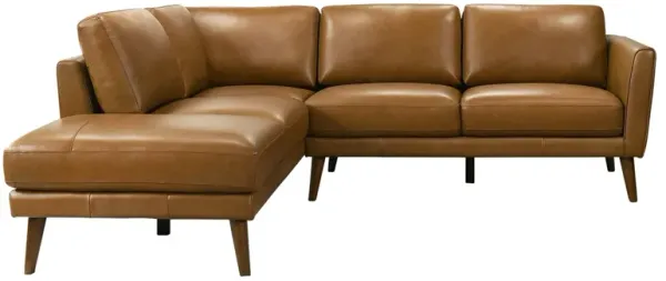 Benson - Sectional Sofa Left Facing Chaise - Tan
