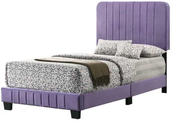 Lodi - Twin Bed - Purple
